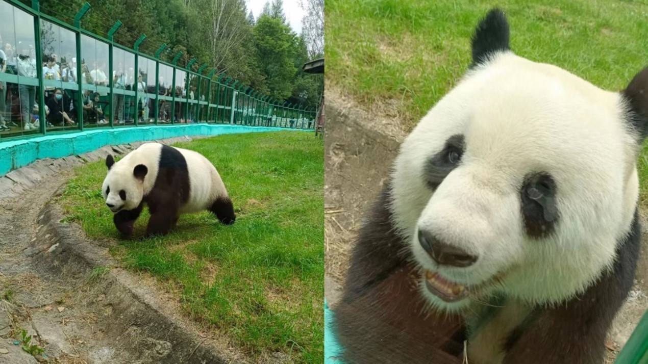 1694825561420514.jpg 1694825561420514.jpg